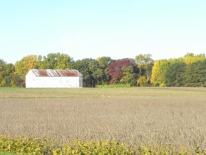 Field with a barn