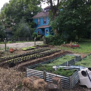 New Brooklyn Farms raised beds with thyme