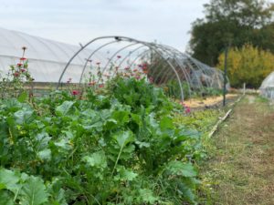 urban farm hoop house frame