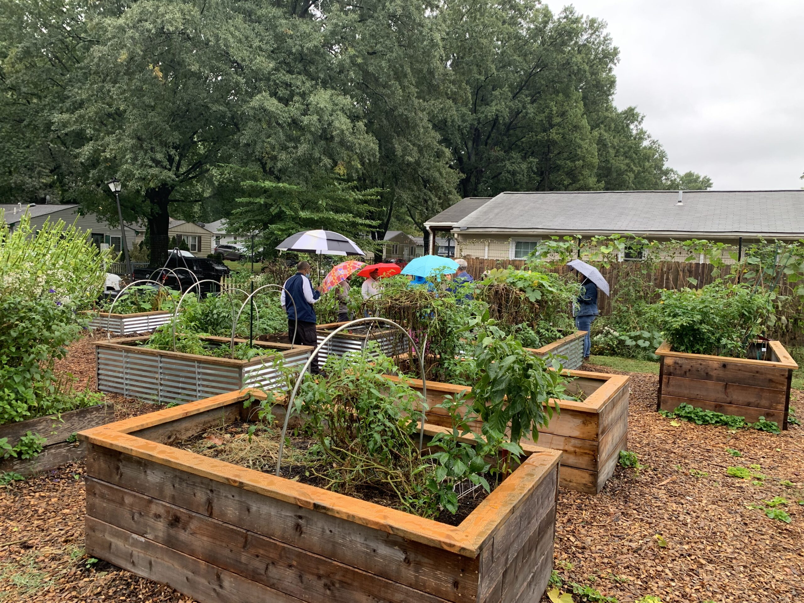 Cultivating Community: Rental Property Gardens for All